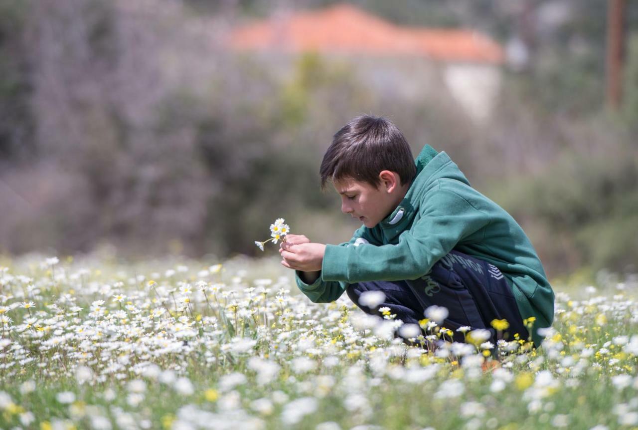 Prázdninový dům Amaryllis *